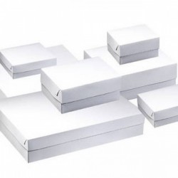 ΚΟΥΤΙ ΠΑΣΤΑΣ ΕΙΔΙΚΕΣ ΔΙΑΣΤΑΣΕΙΣ ΛΕΥΚΟ 